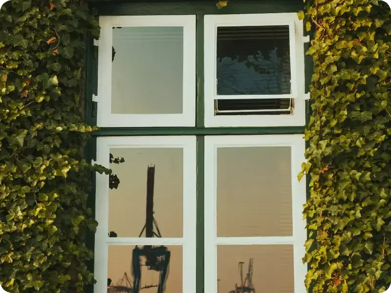 Fassadenreinigung 8 fensterreinigung odenwald reinblank 1