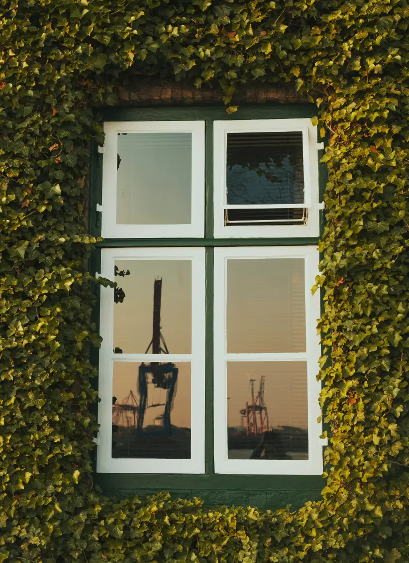 hygiene fensterreinigung reinblank odenwald